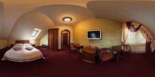 Отель Hotel Elefant Ужгород Стандартный двухместный номер с 1 кроватью-3