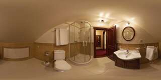 Отель Hotel Elefant Ужгород Стандартный двухместный номер с 1 кроватью-4